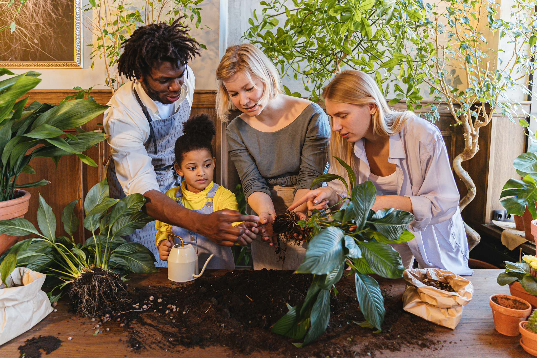 People Looking at the Green Plant